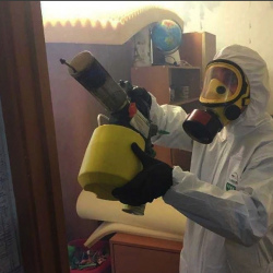 Уничтожение клопов в квартире. Малоярославец